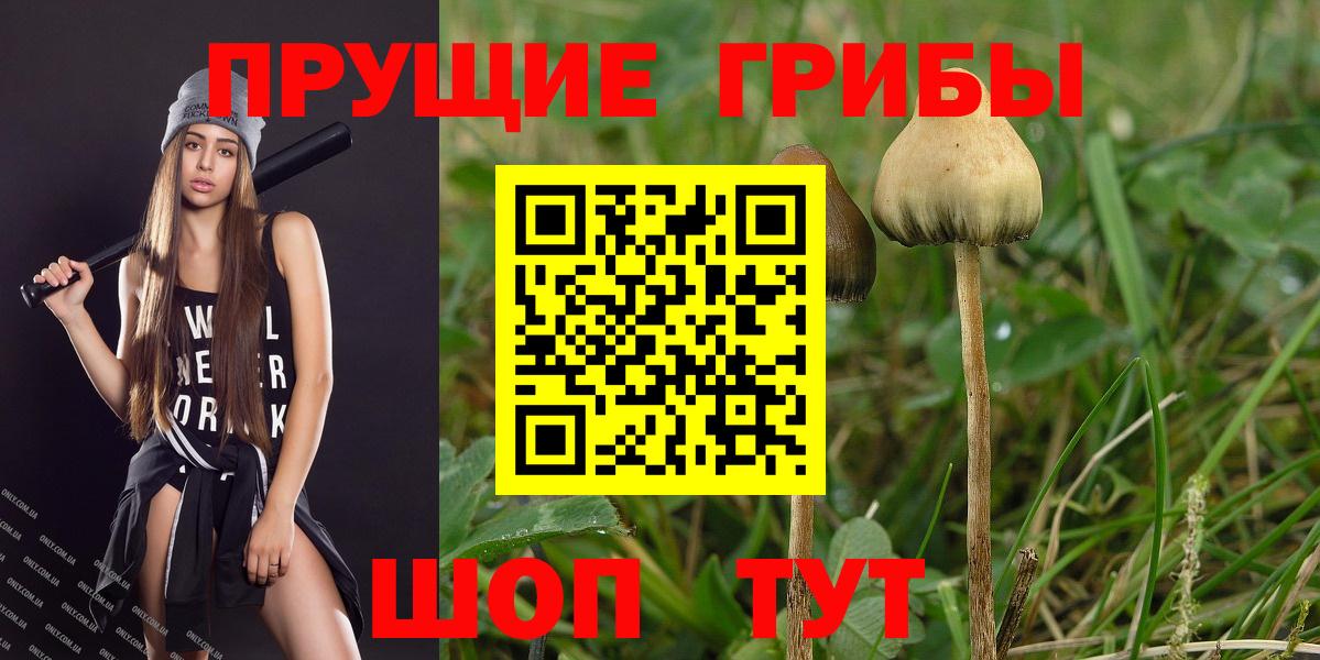 Алатырь  Галлюциногенные грибы прущие грибы  Вход с VPN 