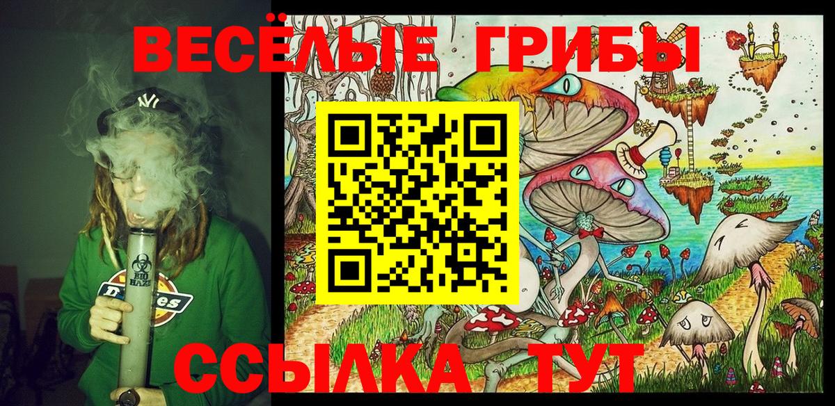 Псилоцибиновые грибы Psilocybine cubensis Алатырь